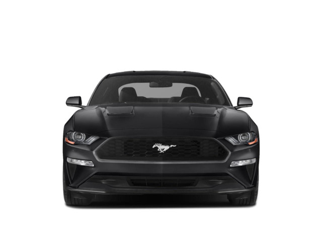 2020 Ford Mustang 2.3L EcoBoost Turbocharged 4-Cylinder Engin... in Cars & Trucks in Ottawa - Image 4