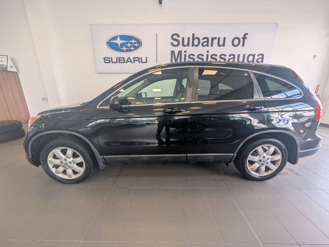 2009 Honda CR-V EX-L EX-L|CLEAN CARFAX |2 SETS OF TIRES/RIMS|... in Cars & Trucks in Mississauga / Peel Region - Image 4