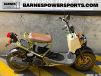 2024 Honda Ruckus