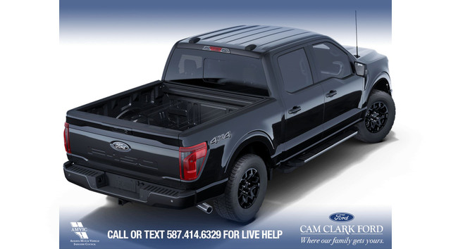 2025 Ford F-150 XLT in Cars & Trucks in Calgary - Image 4