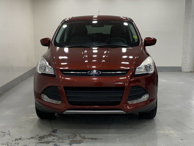 2016 Ford Escape SE in Cars & Trucks in Regina - Image 3