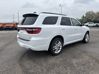 TIRES: 265/50R20 BSW AS LRR (STD),TRANSMISSION: 8-SPEED TORQUEFLITE AUTOMATIC (STD),WHITE KNUCKLE,BL... (image 4)
