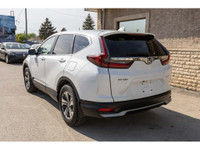 GREAT VALUE CRV! - Remote Start - Backup Camera - Bluetooth - Adaptive Cruise Control - Lane Keep As... (image 5)