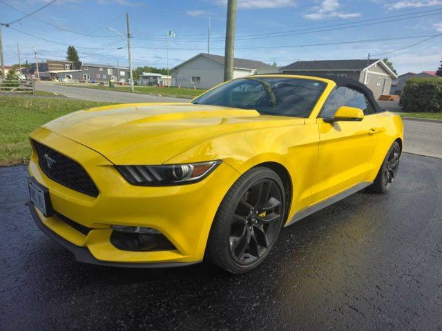 2016 Ford Mustang EcoBoost Premium | Leather | Nav in Cars & Trucks in Guelph