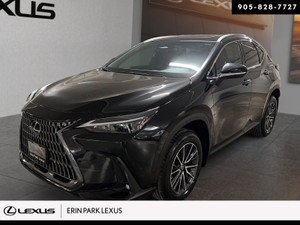 2025 Lexus NX 350 350