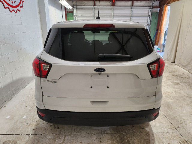 2019 Ford Escape in Cars & Trucks in Windsor Region - Image 3