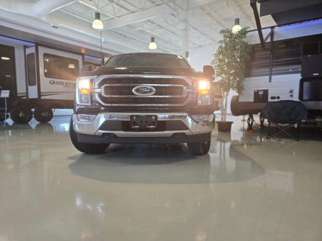 2022 Ford F-150 in Cars & Trucks in Ottawa - Image 4