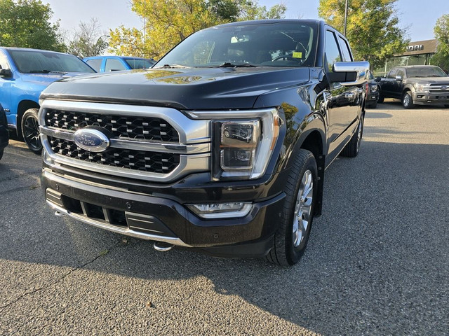 2021 Ford F-150 PLATINUM in Cars & Trucks in Calgary - Image 3