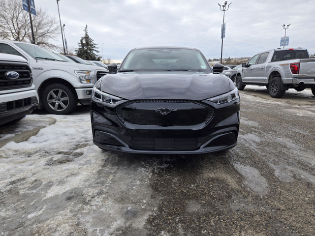 2024 Ford Mustang Mach-E SELECT | COMFORT PACKAGE in Cars & Trucks in Calgary - Image 2
