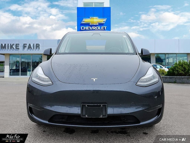 2020 Tesla Model Y Long Range in Cars & Trucks in Ottawa - Image 2