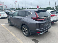 Come visit our London Honda team, you can find us at 560 Wharncliffe Rd S, London, ON, N6J 2N4, or c... (image 3)