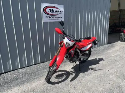 - 2025 Honda® CRF300L ABS - Confidence Inspiring Power - Optimal Performance - The Right Gearing for...
