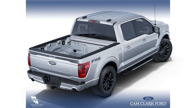 2025 Ford F-150 XLT in Cars & Trucks in Red Deer - Image 4