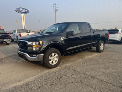 2023 Ford F-150 F-150 XLT - 5.0L V8 - Tow Package - Black