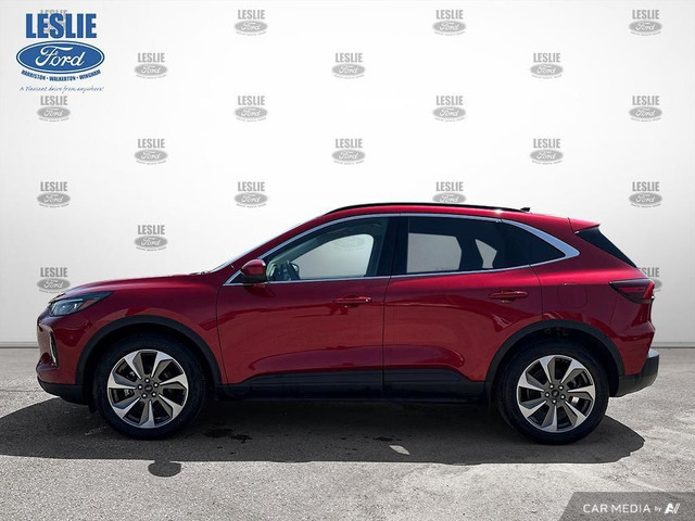 2023 Ford Escape Platinum AWD in Cars & Trucks in Stratford - Image 3