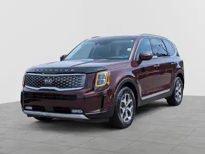 Telluride EX AWD with 8 Passenger, Leather, Woodgrain, Heated Seats & Wheel, Multi-Zone Auto Climate...