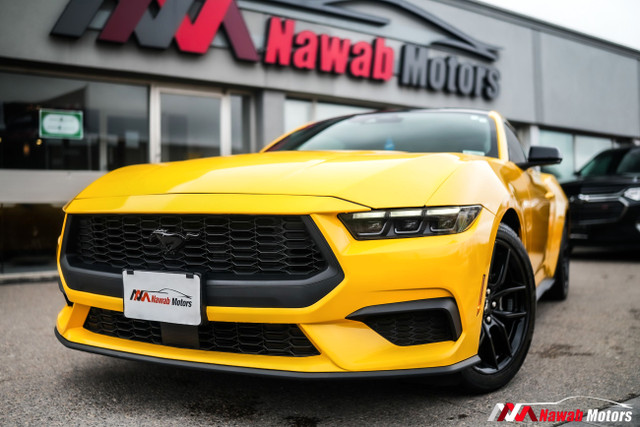 2024 Ford Mustang ECOBOOST FASTBACK|APPLE CARPLAY||ALLOYS| in Cars & Trucks in Mississauga / Peel Region