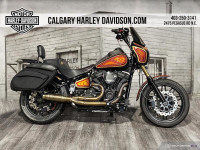 2019 Harley-Davidson FXLR LOW RIDER