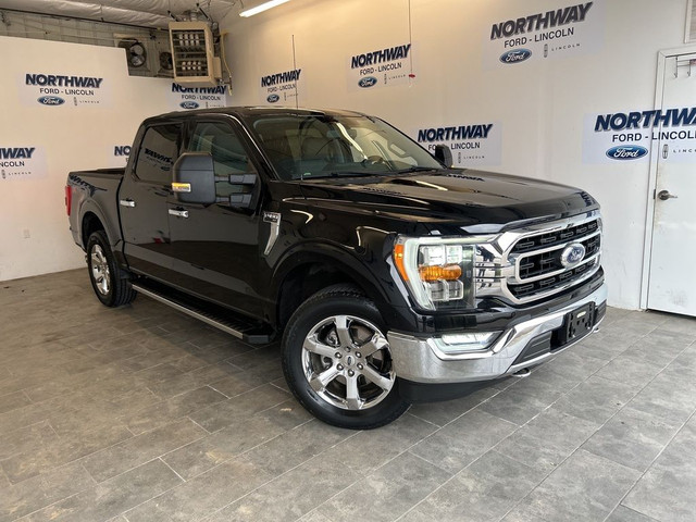 2021 Ford F-150 in Cars & Trucks in Brantford - Image 4