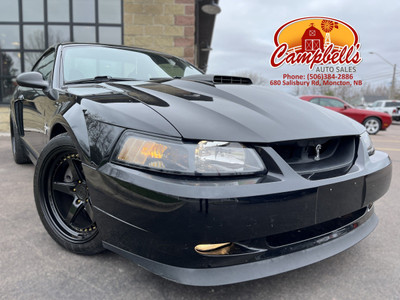 2003 Ford Mustang Mach 1 LOW KM! V8! 5-Speed! Shaker Hood!