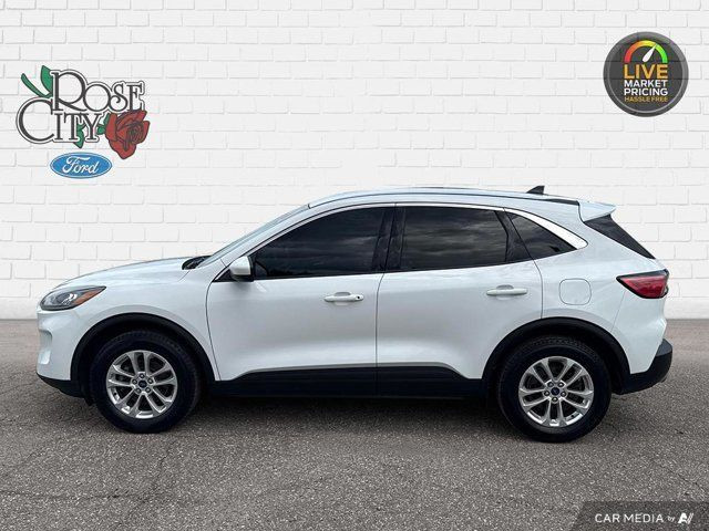 2020 Ford Escape SE in Cars & Trucks in Windsor Region - Image 3