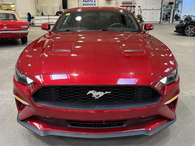 2020 Ford Mustang EcoBoost | 2.3 L | LEATHER | HEATED SEATS in Cars & Trucks in Regina - Image 2