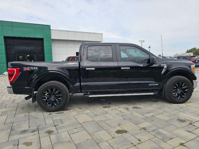 2021 Ford F-150 in Cars & Trucks in Ottawa - Image 4