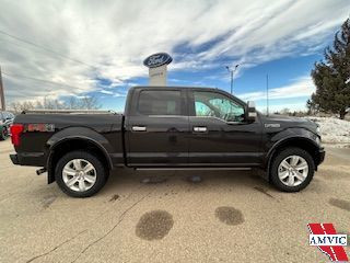 2019 Ford F-150 Platinum in Cars & Trucks in Medicine Hat