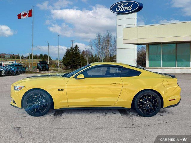 2017 Ford Mustang GT Premium in Cars & Trucks in Kitchener / Waterloo - Image 4