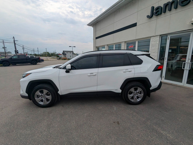 2023 Toyota RAV4 Hybrid XLE in Cars & Trucks in Timmins - Image 2