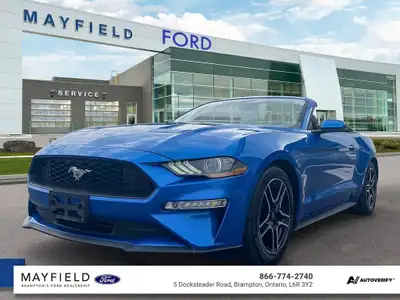 2019 Ford Mustang LOW KMS