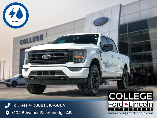 2023 Ford F-150 Hybrid XLT | 3.5L POWERBOOST HYBRID V6 | 4X4 | S in Cars & Trucks in Lethbridge