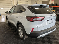 Employee Pricing on now! You pay what we pay on every New and Used Vehicle at Boundary Ford - Best D... (image 5)