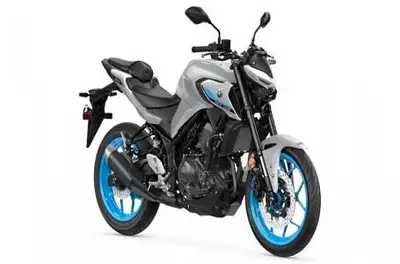 Engine Type: In-Line Displacement: 19.6 cu. in. (321 cc) Bore and Stroke: Bore: 2.68 in. (68 mm); St...