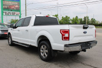 Introducing The 2019 Ford F-150 XL 4WD SuperCrew With Its 5.0 V8 Engine, This Truck Means Business.... (image 4)