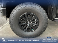 Stock photos may not be exactly as Illustrated. Please contact dealer for official photos. Cam Clark... (image 6)