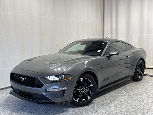 2022 Ford Mustang Ecoboost - NAV, Backup Camera, Cruise Control, in Cars & Trucks in Strathcona County - Image 3