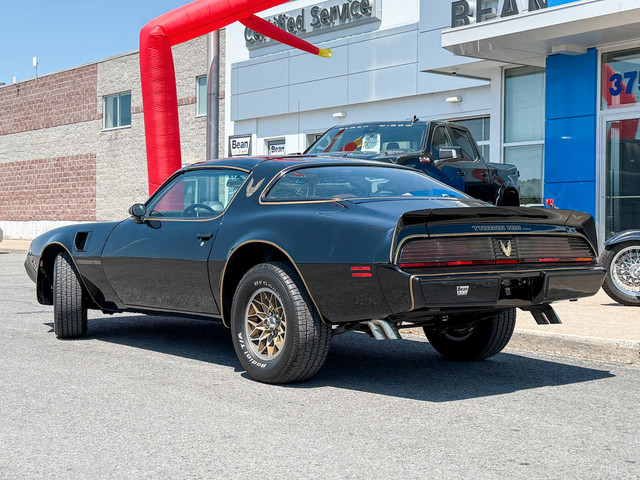 1981 Pontiac FIREBIRD TRANS AM T-TOPS AUTO 1981 PONTIAC FIREB... in Cars & Trucks in Ottawa - Image 4