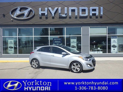  2013 Hyundai Elantra GT SE