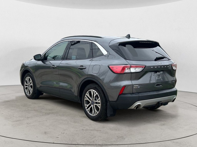 2022 Ford Escape SEL Hybrid AWD in Cars & Trucks in Winnipeg - Image 2