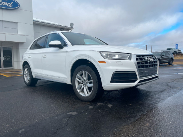  2019 Audi Q5 Komfort in Cars & Trucks in Saint John - Image 3
