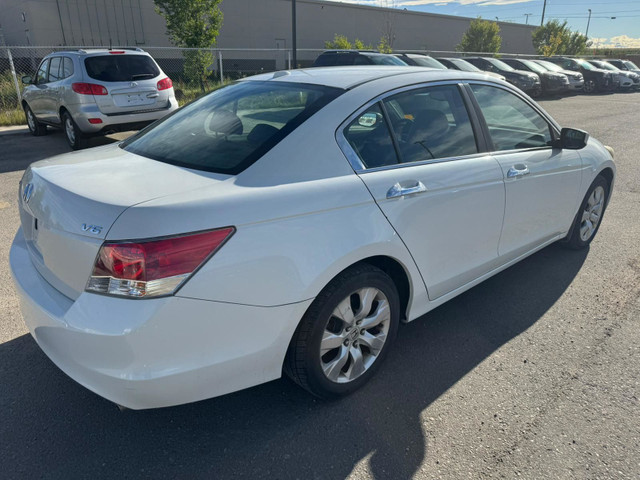 2010 Honda Accord Sedan EX-L V6 :: Power Sunroof in Cars & Trucks in Calgary - Image 4