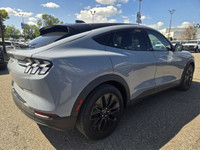 Employee Pricing on now! You pay what we pay on every New and Used Vehicle at Maclin Ford - Calgarys... (image 7)
