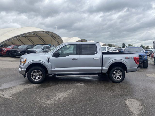 2023 Ford F-150 XL in Cars & Trucks in Calgary - Image 3