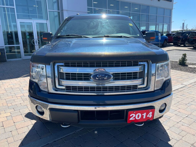 2014 Ford F-150 XLT in Cars & Trucks in Ottawa - Image 2