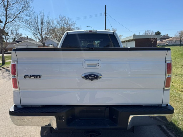 2013 Ford F-150 XLT ECO BOOST - CLEAN CAR FAX - DRIVES AMAZING in Cars & Trucks in Edmonton - Image 4