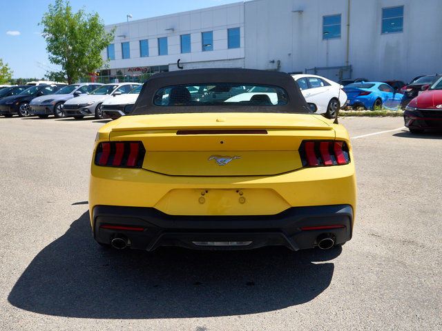 2024 Ford Mustang EcoBoost Premium in Cars & Trucks in Edmonton - Image 4
