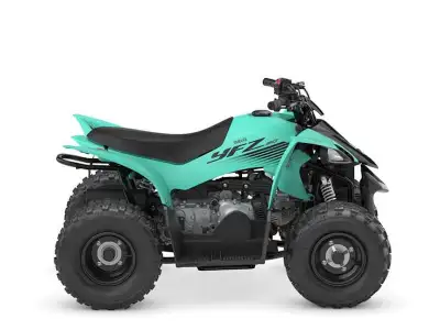 2025 Yamaha YFZ50 FIRST-TIME RIDER, LIFELONG MEMORIES. Boasting electric start, automatic transmissi...