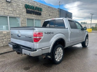 2012 FORD F-150 PLATINUM 5.0L FULLY LOADED F-150 WITH GREAT SERVICE HISTORY! -3 MAGNAFLO CATBACK EXH... (image 4)