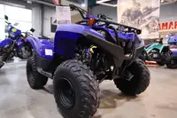 2024 Yamaha GRIZZLY 90 Blue